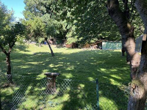 Bild3 - Grundstück in Extertal-Bösingfeld