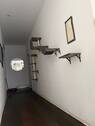 IMG_8751.jpeg - Etagenwohnung mit 52,00 m&sup2; in Cottbus zur Miete