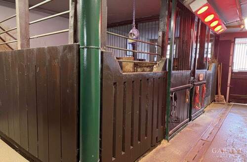 Stall - 1 Zimmer Mehrfamilienhaus, Wohnhaus in Adelmannsfelden