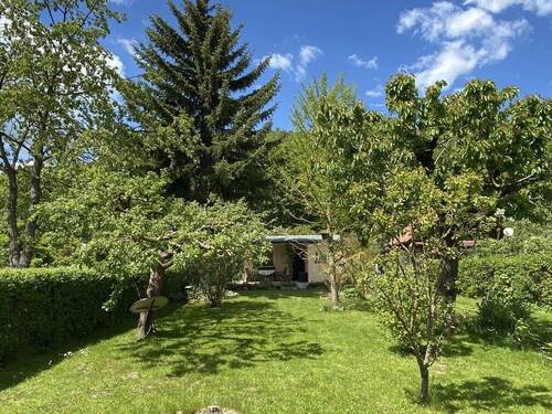 Gepflegter Garten mit Bäumen und Obstgehölzen - Grundstück zum Kaufen in Neuengönna