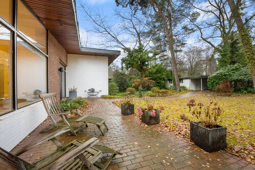 Blick in den Garten - 