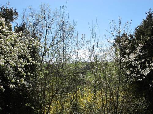 80-Ausblick vom Essbereich.JPG - 