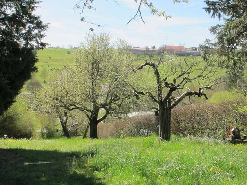 80-Bio und ökologisch - Alte Baumbestände.JPG - 
