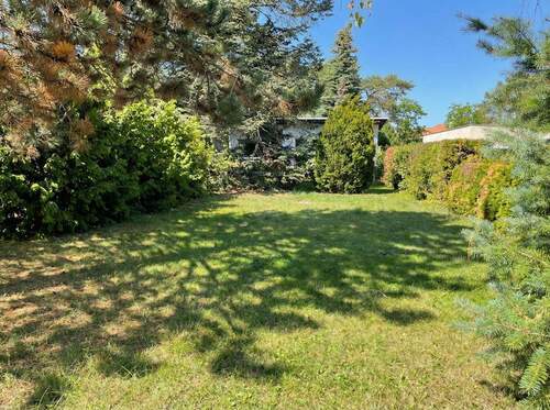 Grundstück vor dem Bungalow - Grundstück zum Kaufen in Grünheide