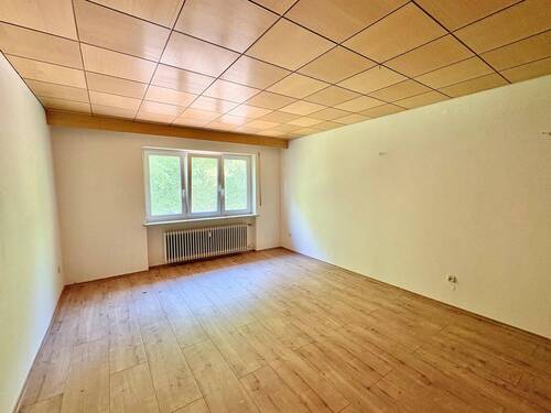 Zimmer - 
