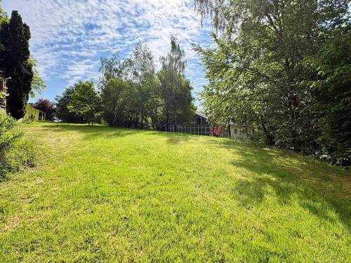Wiese - 
