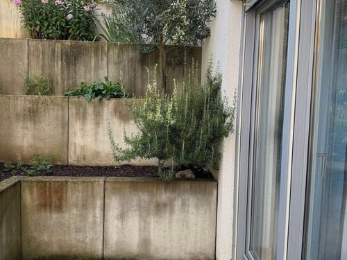 Terrasse UG (Vergleichswohnung) - 