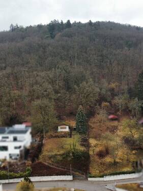 Blick auf das Grundstück - Grundstück in Tegernheim zum Kaufen