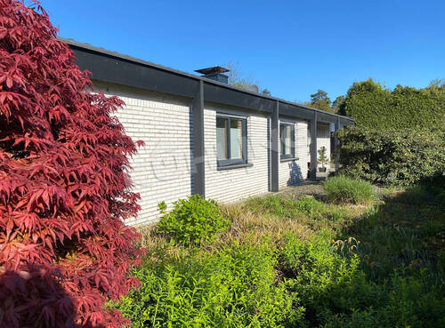 Bild 3 - 4 Zimmer Bungalow in Vechta