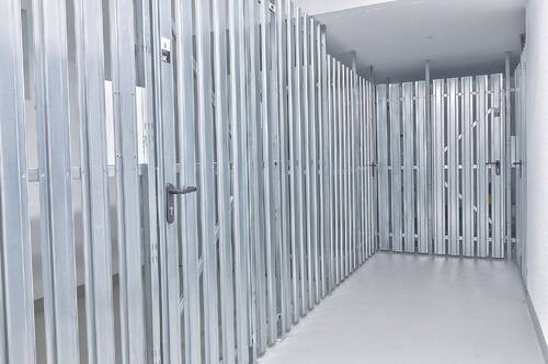 Üppiges Kellerabteil - 