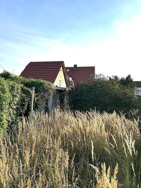 Blick aus dem Garten zum Haus - 