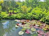 Teich - 
