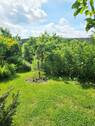Liegewiese - 