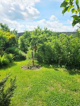 Liegewiese - 