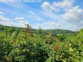 Aussicht - 