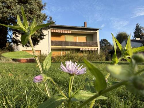 Ihr neues Zuhause! - MTI - Sanierungsbedürftiges Haus in bester Lage von Nieder-Erlenbach