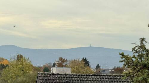 ...bis auf den Feldberg - 