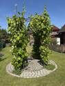 Gartenansicht - 