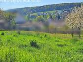 Aussicht - Grundstück zum Kaufen in Bad König