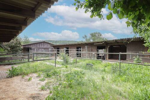 Stallungen - 
