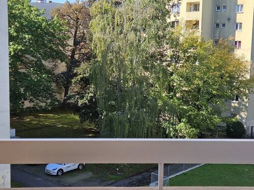 Blick vom Balkon - 