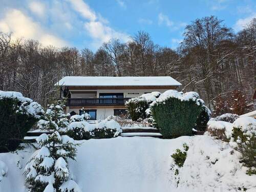 20260105_150916 - Die Perle im Südharz! Wer den Wald und die Natur liebt ist hier genau richtig.