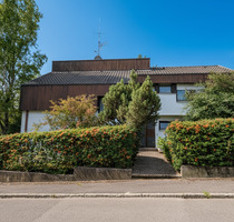 Feines Einfamfilienhaus mit großer Einligerwohnung - Heilbronn