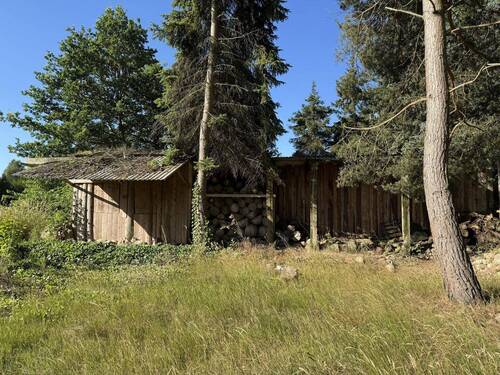 Ansicht des Schuppens vom Garten - 