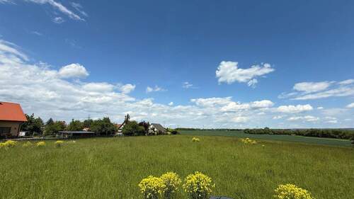 IMG_0678 - Grundstück in Arnstadt zum Kaufen