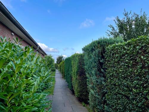 Zugang zur Reihenhausanlage - 4 Zimmer Reihenmittelhaus zum Kaufen in Boltenhagen