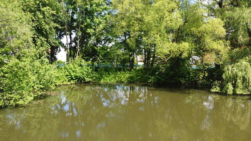 Blick vom Weiher auf GS-Ufer - Grundstück in Haundorf zum Kaufen