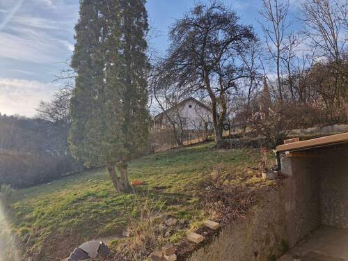 Garten - 
