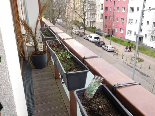 Entspannte Stunden im Freien - 1 Zimmer Etagenwohnung zur Miete in Berlin