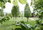Stadtteilpark - 