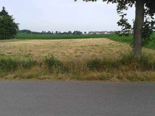 Baugebiet mit Weitblick - Ihr Wohntraum nahe der Ostsee in Zierow