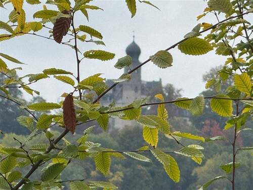 Ausblick Schloss Callenberg - CO-Beiersdorf ** gemütliche 2 Zi- Einlieger-Wohnung mit EBK & Terrasse ab sofort **