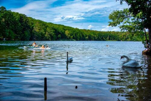 Schlachtensee_5064 - 