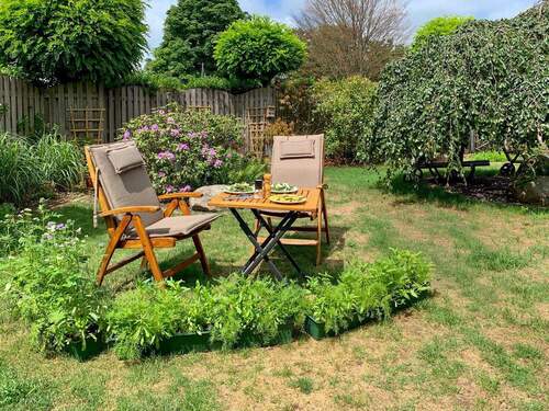 Garten im Sommer - 