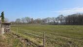 Weideland - 