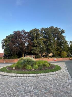 Weiteres Umfeld - 