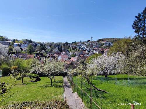 in unverbaubarer Aussichtslage - Mehrfamilienhaus, Wohnhaus mit 200,00 m&sup2; in Karlsruhe zum Kaufen