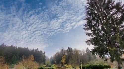 Ausblick vom Grundstück - Einfamilienhaus mit 85,00 m&sup2; in Falkenstein zum Kaufen