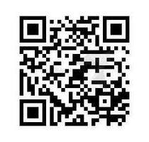 Attraktive Dachgeschosswohnung mit Sichtbalken, Wohnküche und großem Bad - Zwickau Pölbitz