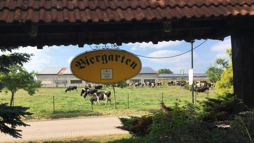 Grundstück - 