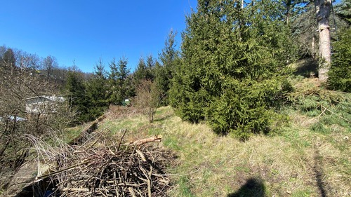 Grundstück - 