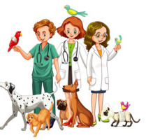 Leer - Nachfolger für gut eingeführte Tierarztpraxis gesucht