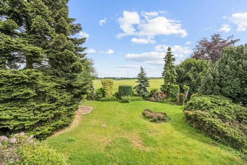 Gartenbild - 