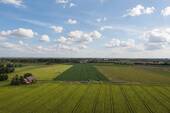 Feldblick - 