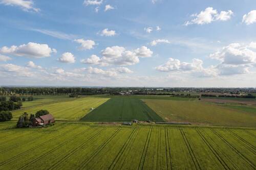 Feldblick - 