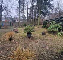 Erholen in der Dübener Heide - 15.000,00&nbsp;EUR Kaufpreis, ca.&nbsp; 0,00&nbsp;m&sup2; in Bad Düben (PLZ: 04849) Brösen